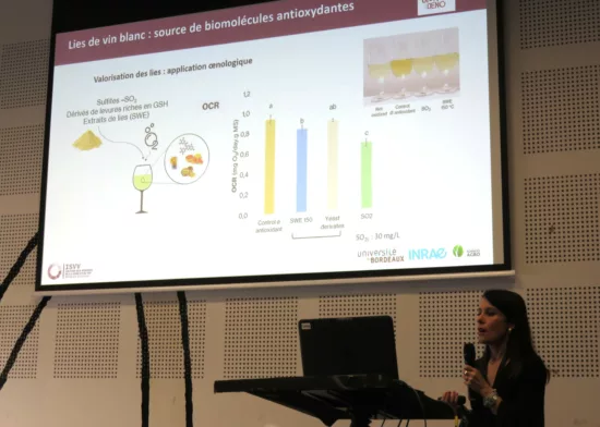 Claudia Nioi présente les travaux de l’UMR OEno sur les propriétés des lies de vins blancs lors de Vinitech-Sifel