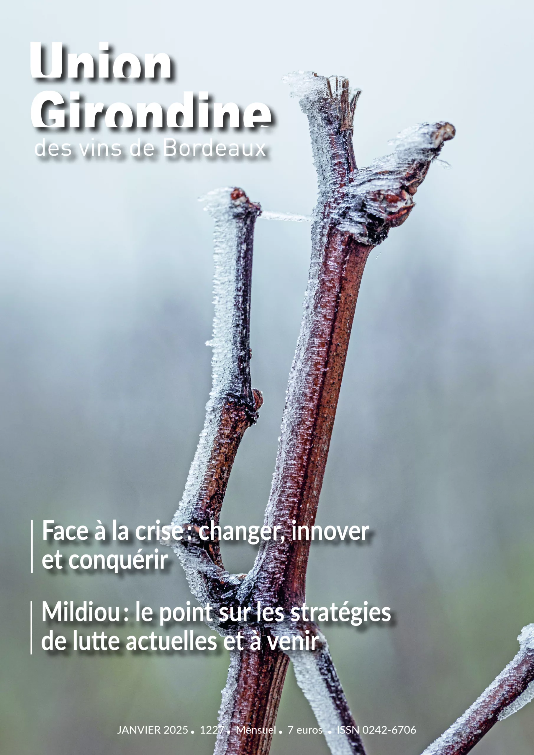 Une du magazine de janvier de l'Union girondine représentant un sarment de vigne glacé en hiver