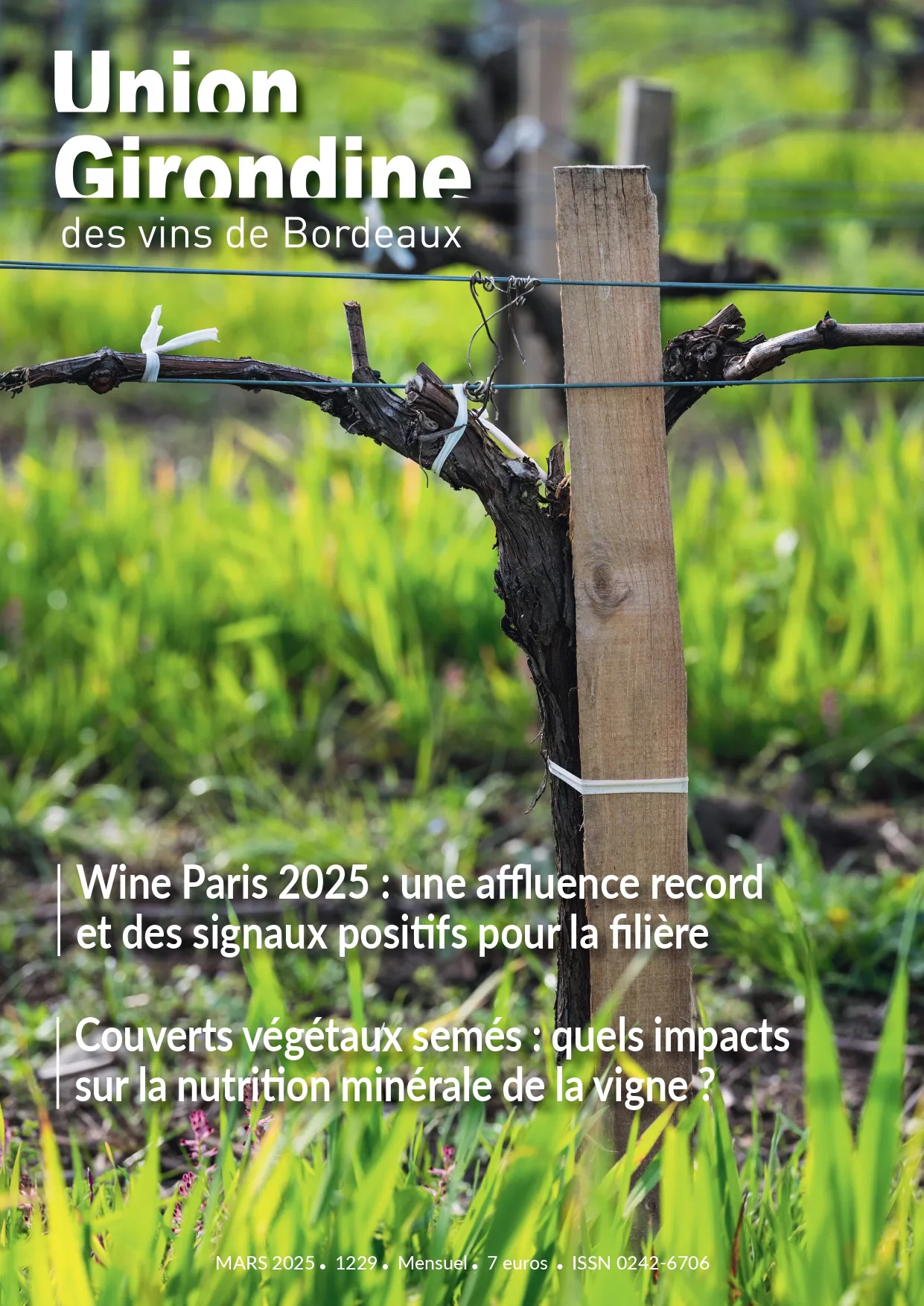 Une du magazine l'Union girondine des vins de Bordeaux en mars représentant un pied de vigne et son piquet